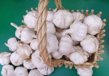 Wholesale pure white fresh garlic