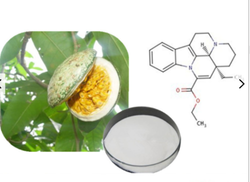 Hot selling high quality Voacanga africana fruit extract