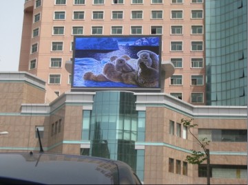 sport led display P20