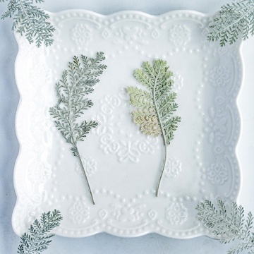 Wholesale DIY Dried Leaf Pressed Silver Leaves for Crafts