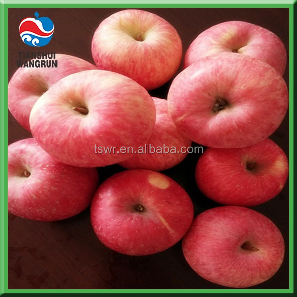Shandong Fuji apple five layers blush fuji apple juicy apple