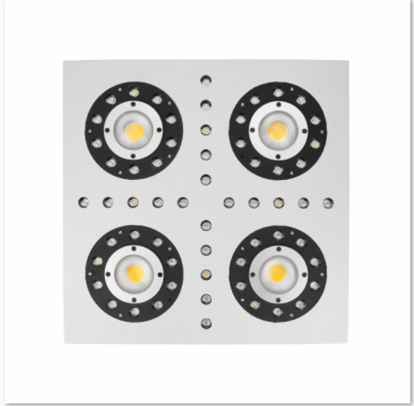 LED Grow Light