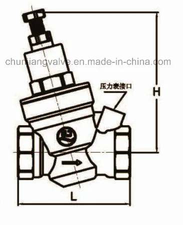 Chunjiang Brass Adjustable Prv Valve (Y702)