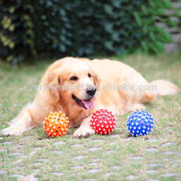 [Everfriend Pet] High Quality Pet Accessories Pet Products Manufacturer