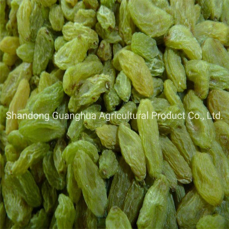 Wholesale Dried Raisin Candied Raisin New Crop