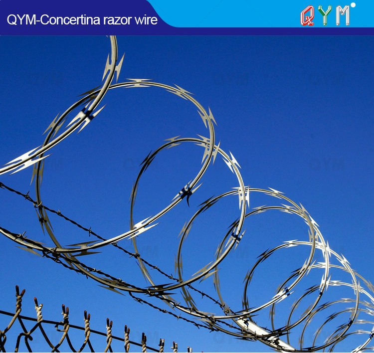 Anping 700mm Coil Diameter Concertina Razor Barbed Wire with Pallet