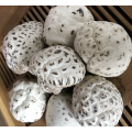 Dried Flower Mushroom Dry Bulk Organic Dried Mushrooms