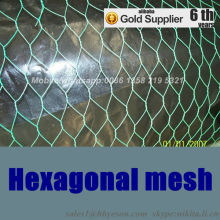 hexagonal mesh,hexagonal wire mesh,galvanized hexagonal wire netting