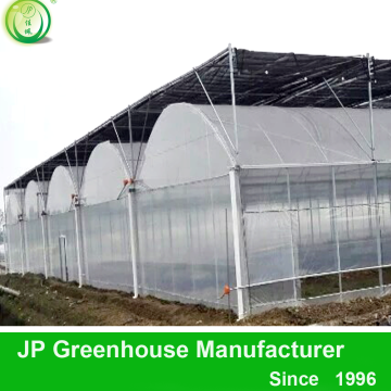 tomato green house