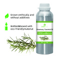 Aceite esencial de Rosemary 100% puro y natural Aceite de bluk de alta calidad BLUK Oil para compradores globales El mejor precio