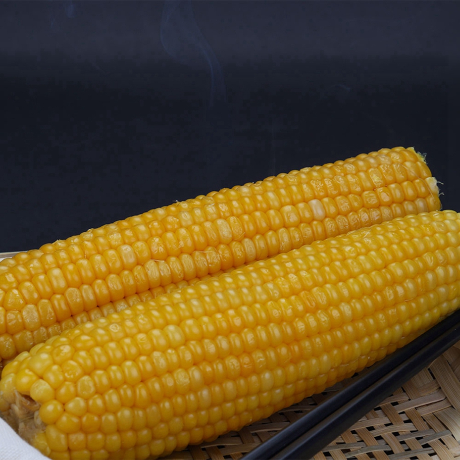 Calories Corn