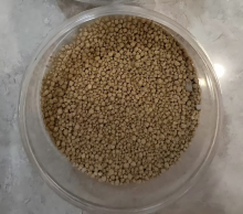 Mycoprotein 70% Improve Growth Rates in Poultry Feed