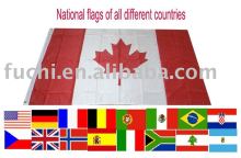 National Flag for 2010 world cup