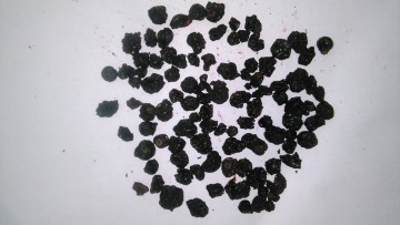 Dried Black Currant