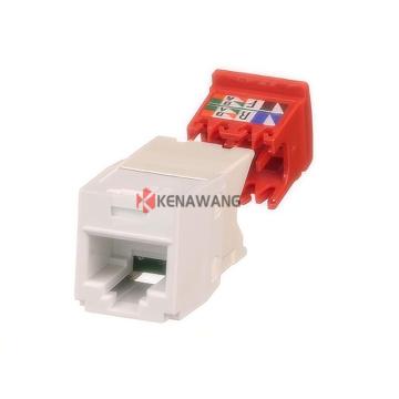 White Cat5e Keystone Jack UTP 8P8C RJ45 Female Ethernet Wall Jack Module
