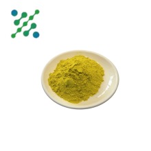 High Purity Quercetin Powder 95% 98%