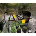 ベストグローライトバー650WフルスペクトルLED園芸用の成長ライトLED Hydroponic Greenhouseの植物ライトバーGrow Lightsバー
