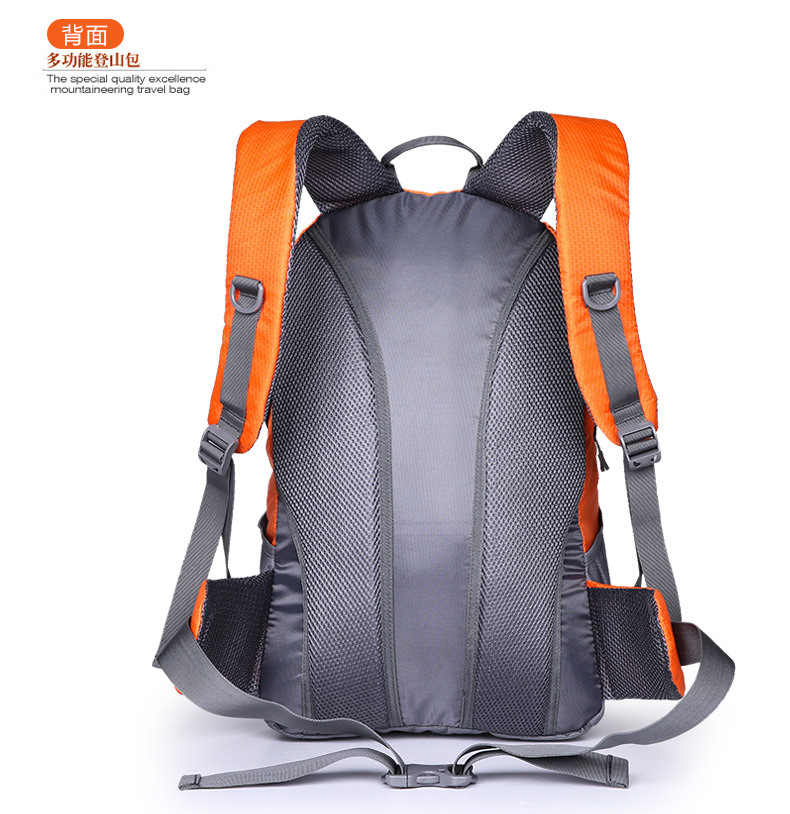 sports backpack