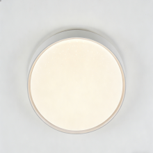 Soft matte finish ceiling light