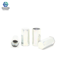 Galvanized Blind Hole Small Countersunk Hex Rivet Nuts
