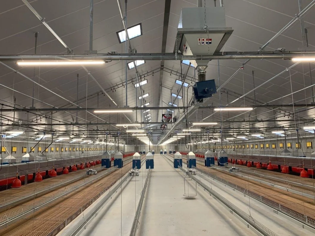 Full Spectrum 18W LED Light for Broiler