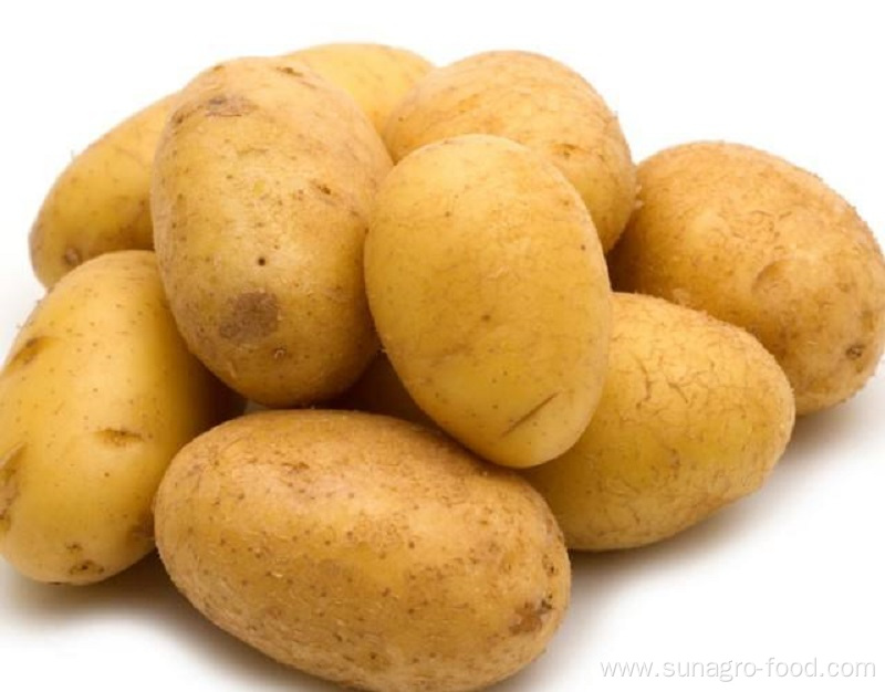 Fresh Potatoes For Export