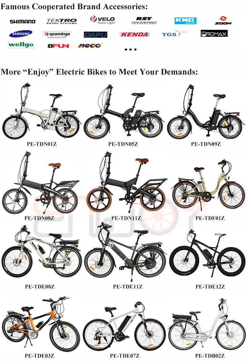 500W Powerful E-Bike Made in China 36V9ah E-Bicycle Electric Scooter (PE-TDE11Z)