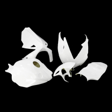 Racing Fiberglass CBR1000RR Fairing