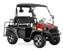 5KW RED Electric UTV with EEC