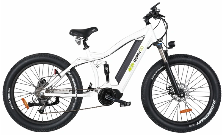 MID Drive Electric Mountain Bike Fat Tire Electric Bike Full Suspension Mountain Ebike