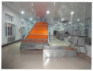 Coated cloth Mesh-Belt Dryer