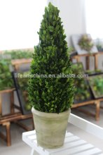 Preserved boxwood tower