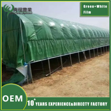 Green and White Plastic Film