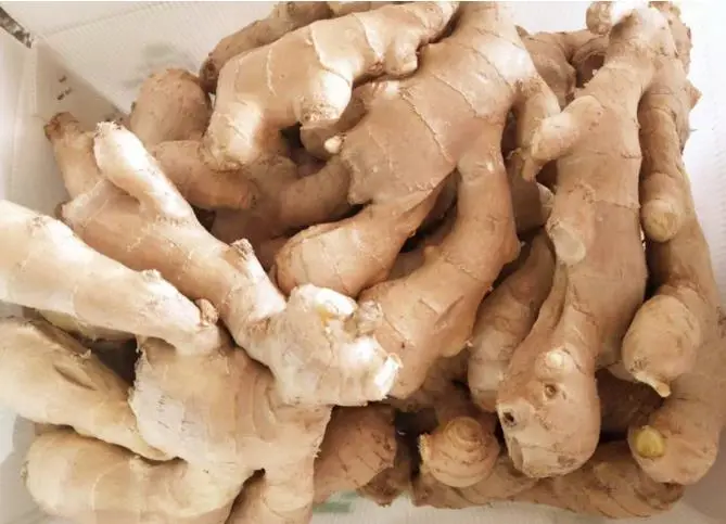 2020 New Crop Fresh Ginger Organic Ginger