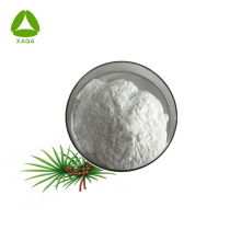 Organic Saw Palmetto Extract 25% Fatty Acid Powder