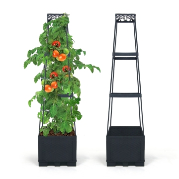 Self Watering Tomato Cage Planter Box with Trellis for Raised Garden Beds