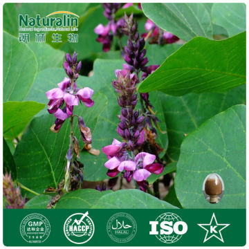 Pueraria Extract