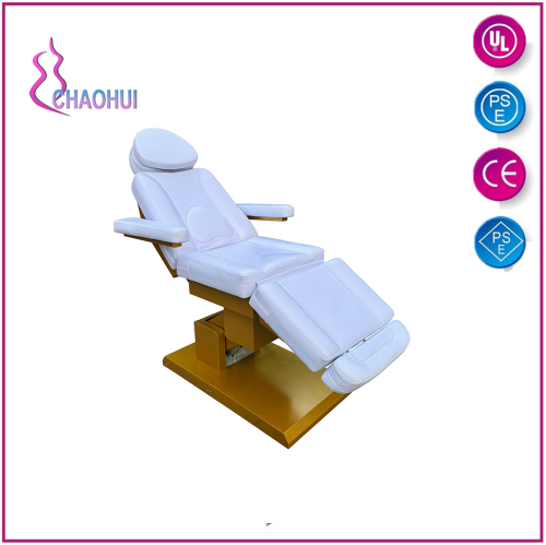 Electric Massage Facial Beauty Spa Bed