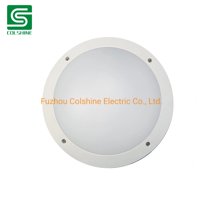 Outdoor Ceiling Wall Mounted Lighting LED Bulkhead Lamp