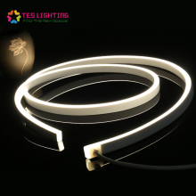 High Custom IP68 Waterproof Flex Light Strip Neon
