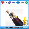 Cable de alimentación iuslated 3 × 10/10 mm2 0.6 / 1 PVC