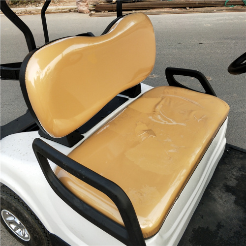 2 seater electric golf cart for sale