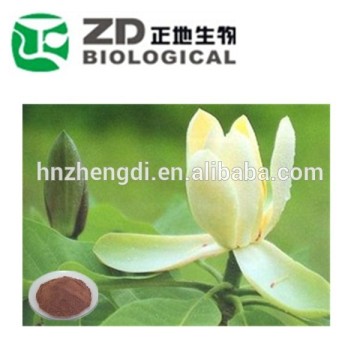 MAGNOLIAE OFFICINALIS Extract honokiol powder