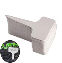 Eco-Friendly T-Type PVC Waterproof Plant Markers