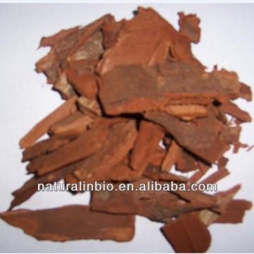 Yohimbe Bark Dry Extract