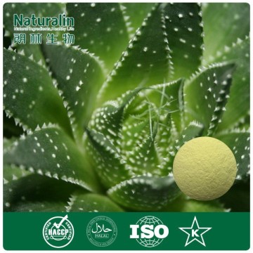 100% Natural Aloe Vera Extract Powder