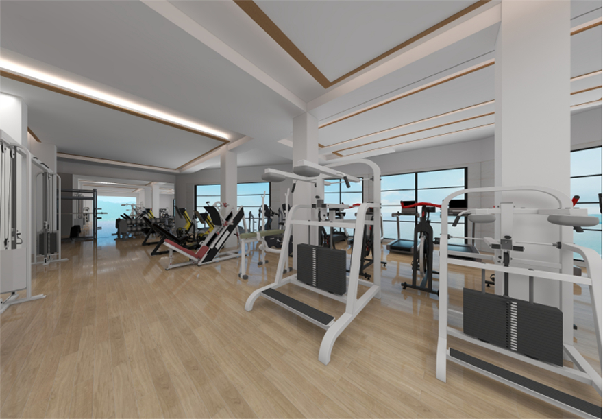 Biggest Fitness Equipment Companies (3)