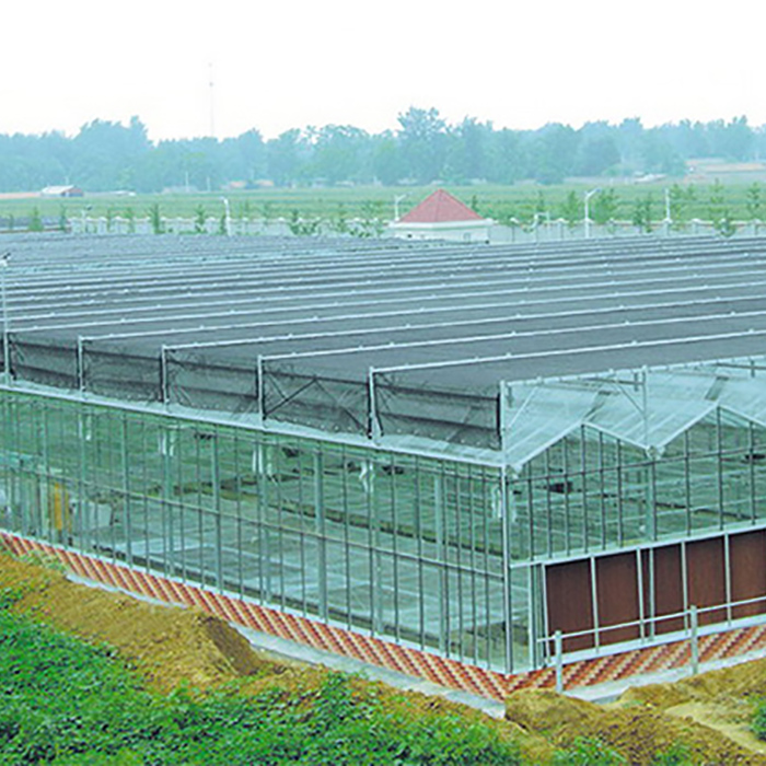 Skyplant Commercia Venlo Type Glass Greenhouse