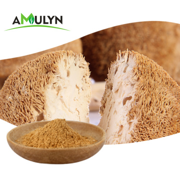 Hericium Erinaceus Extract Mushrooms ของ Mane Lion