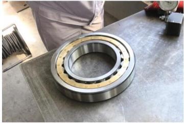 NU Cylindrical Roller Bearing Single Row